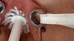 Studs adore satisfying themselves with the needles